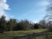 anobello-04032012 066